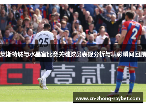 莱斯特城与水晶宫比赛关键球员表现分析与精彩瞬间回顾